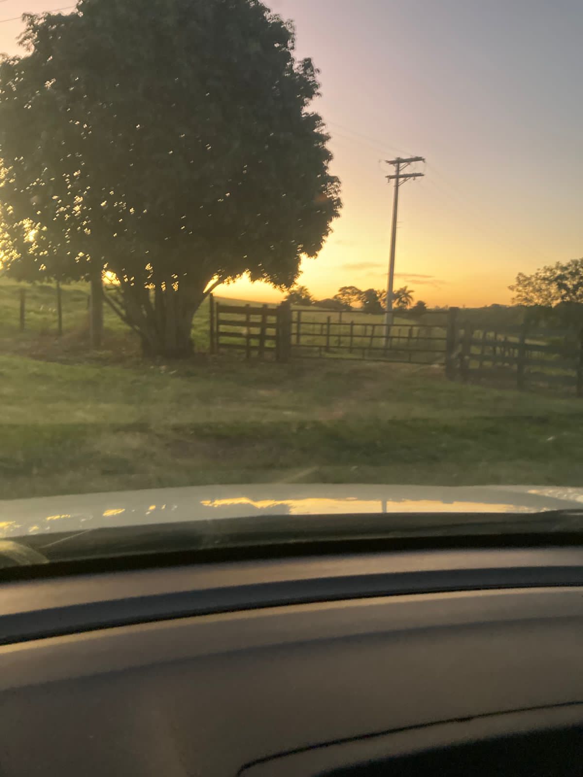 Foto Janta dos Cornetas